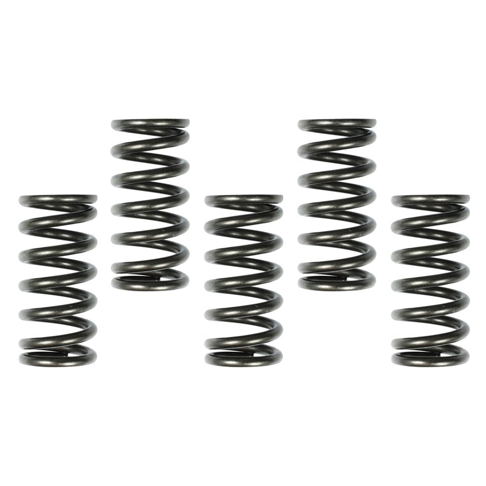 APICO CLUTCH SPRINGS HONDA CRF250R 04 - 09, CRF250X 04 - 19 X5 - PCS - ACE Race Shop