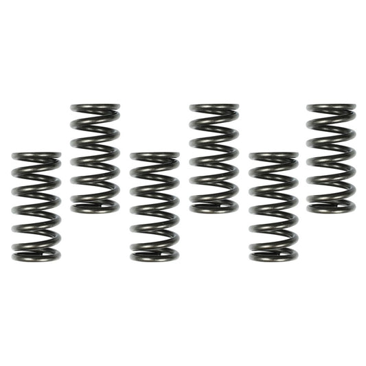 APICO CLUTCH SPRINGS KTM/HUSKY/GAS SX65 09 - 23, TC65 17 - 23, MC65 21 - 23 6PCS - ACE Race Shop